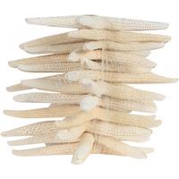 105867 ΑΣΤΕΡΙΕΣ ΣΕ ΔΙΧΤΥ